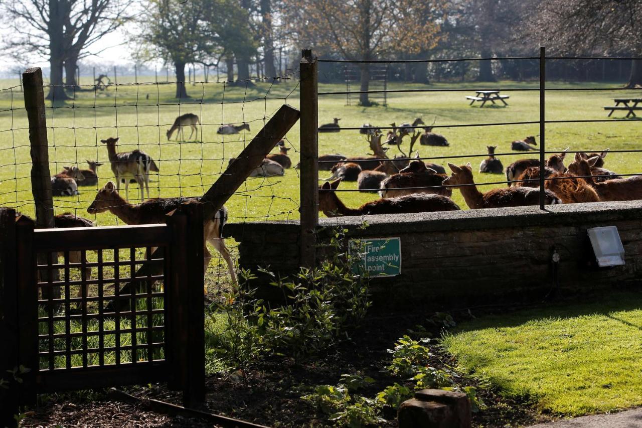Whitworth Hall Hotel & Deer Park - Durham Spennymoor المظهر الخارجي الصورة