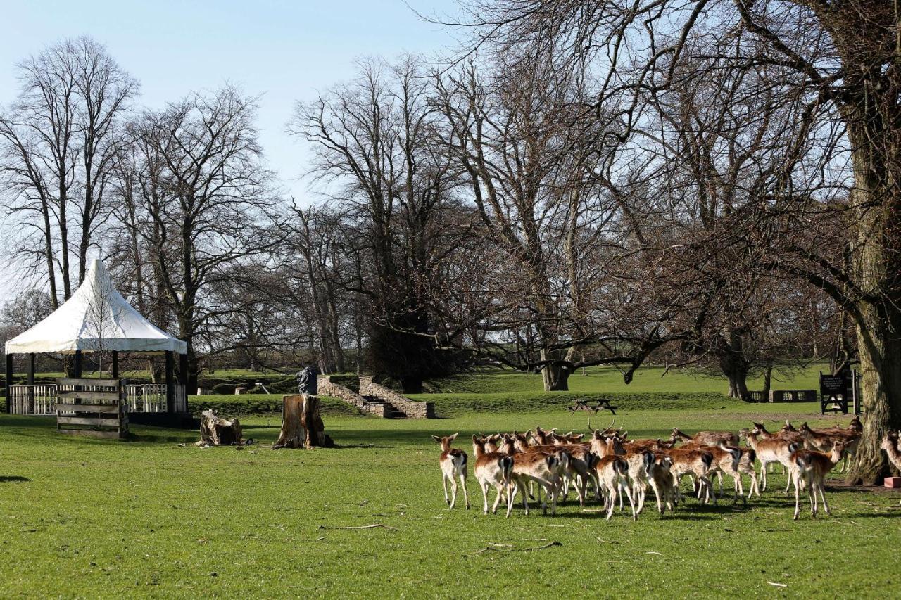 Whitworth Hall Hotel & Deer Park - Durham Spennymoor المظهر الخارجي الصورة